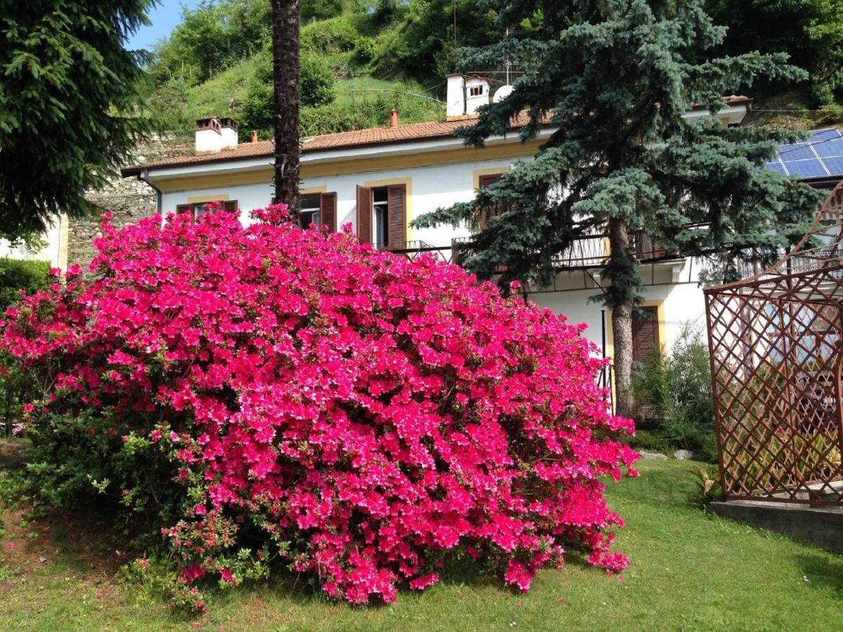 Villa Ombrosa Nebbiuno Exteriér fotografie